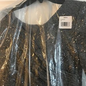 Alex Evening Dress 10 Petite